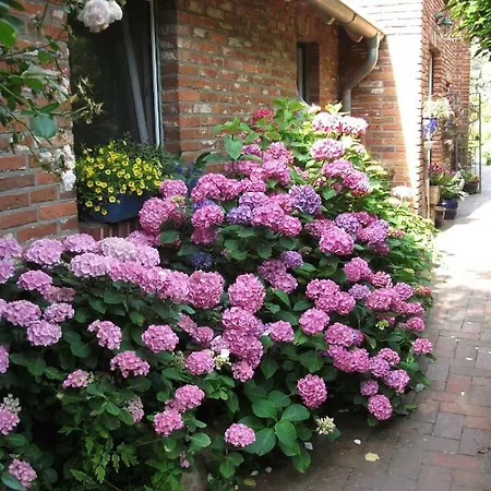 Landhaus-nordseekueste Apartment