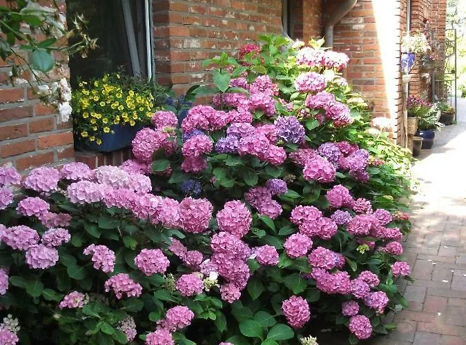 Landhaus-nordseekueste Appartamento